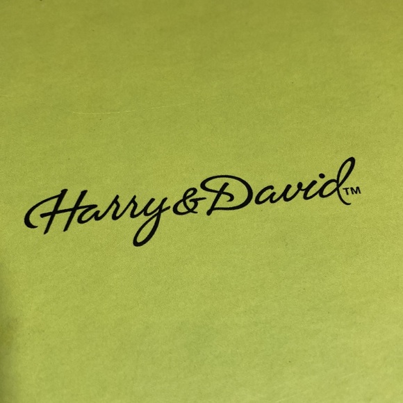 HARRY & DAVID BEAUTIFUL FESTIVE ROUND BOX FILLED WITH 24 TEA LIGHTS - Picture 7 of 10